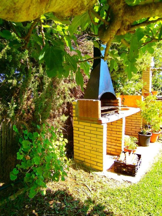 Chalet Pilahito Коніль-де-ла-Фронтера Екстер'єр фото